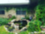 Our pond