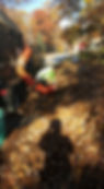 landscape services