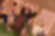 221106_GYMPASS0999 1.png