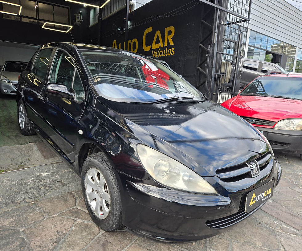 Peugeot 307 Feline- Ano 2006