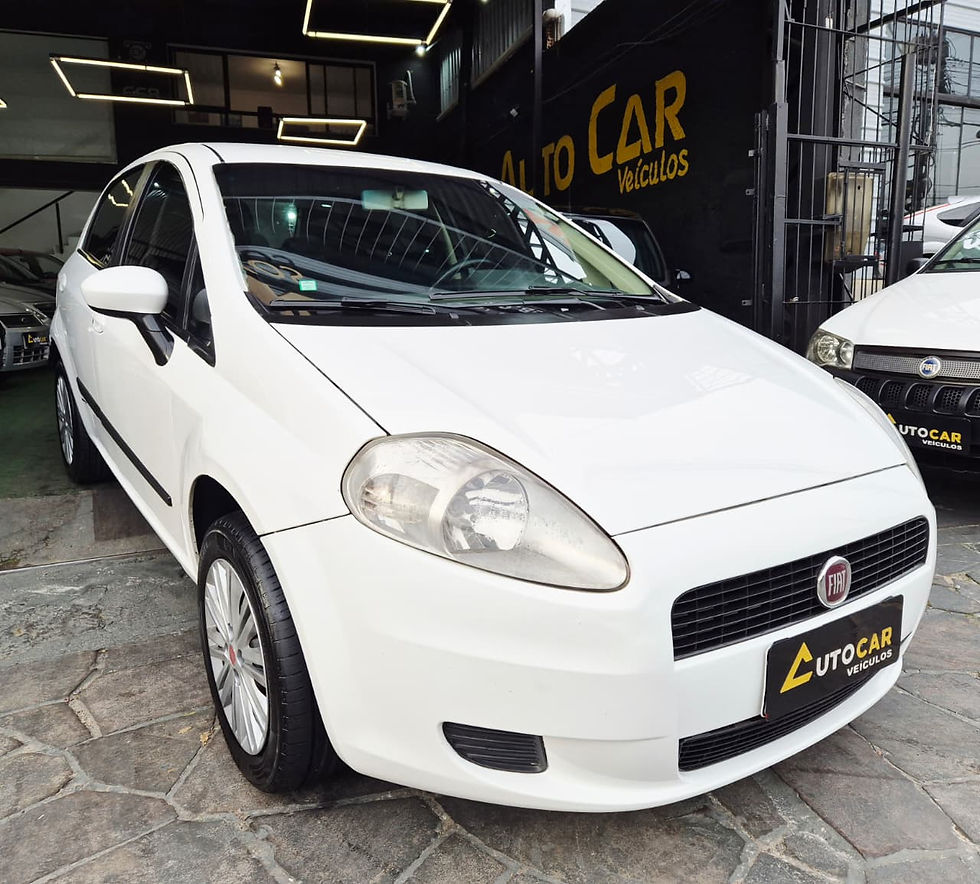 Fiat Punto 1.4 Flex - Ano 2009