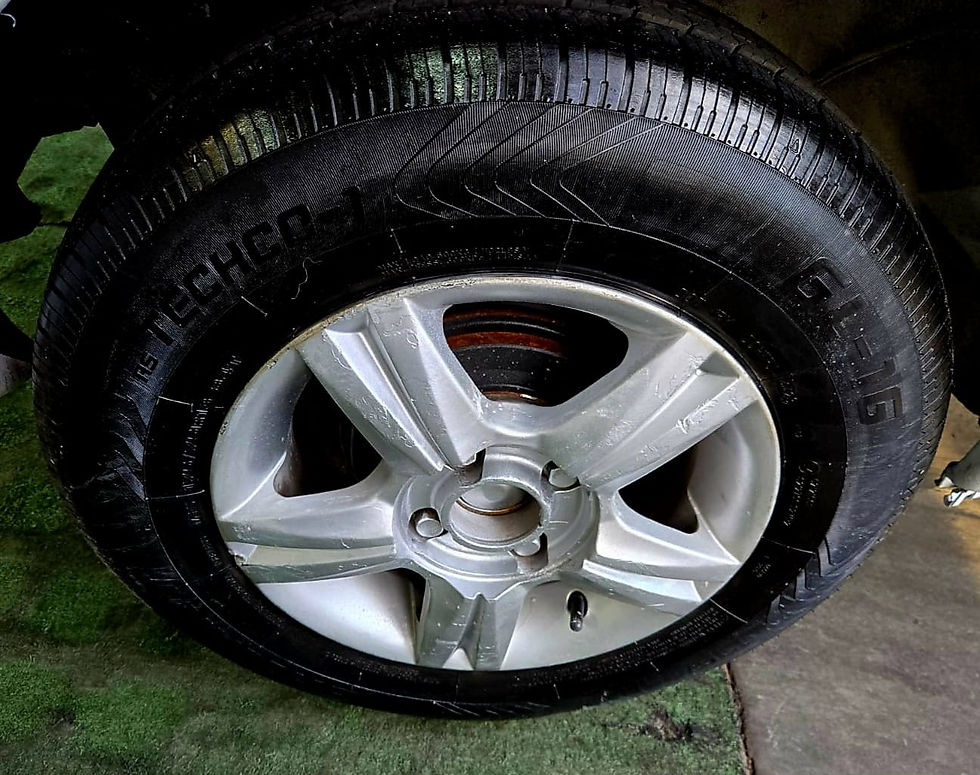 Miniatura: Fiat Palio Ex - Ano 2001