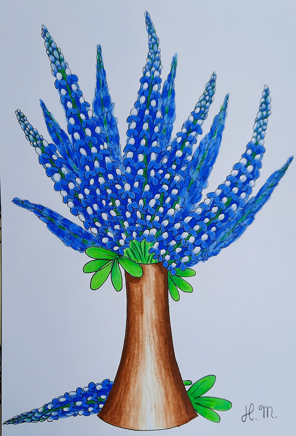 Oregon wildflowers greeting card with color pencil illustration of Wild Iris, blank inside