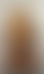 September 29th – Feast of St. Michael and the Holy Angels