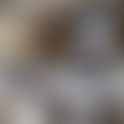 Fundação MT realiza XXII Encontro Técnico Soja para difusão de conhecimento à classe agrícola