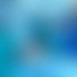 Hospitais públicos oferecem oportunidades de emprego em quatro cidades do Pará