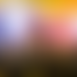 Festival Psica abre chamada para fotógrafos periféricos; veja como se inscrever