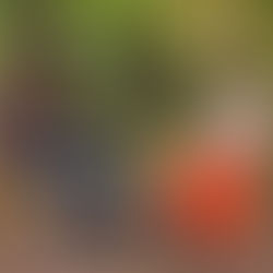 05/10 Do Festival do Rio para o mundo, sessão única de "Regenerar" na Unibes Cultural tem bate-papo