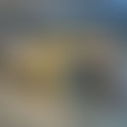 Biomarine entra para universo das franquias com modelo quiosque