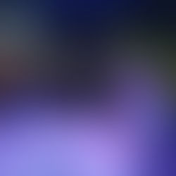 Netto Lima agita público com show dançante 