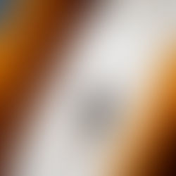 Família no Parque no Villa-Lobos tem programação diária até 28 de julho, com atrações e brincadeiras para todas as idades