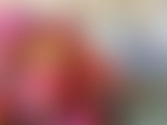 Tampinha Legal já evitou a emissão de mais de 3.300 toneladas de CO2 para atmosfera