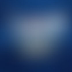 Ações sustentáveis impactam e, cada vez mais, agregam valor ao negócio da pecuária