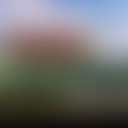 ONG lança campanha de financiamento coletivo para ampliar ações na Vila Torres