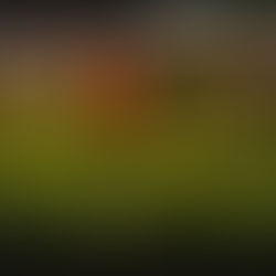 Museu do Amanhã realiza sua primeira itinerância com a exposição 'Fruturos - Tempos Amazônicos' em parceria com Instituto Cultural Vale