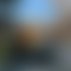 Renato Rosas destaca a importância da Amazônia no Brazil Conference 2023