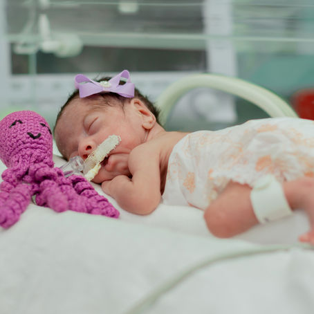 Bebês ganham exposição fotográfica no Hospital Regional do Sudeste do Pará