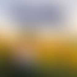 Literatura de cordel é instrumento para falar de diversidade LGBTQIAP+ na adolescência