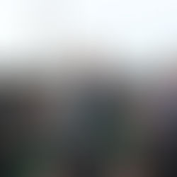 Projeto Menino Feliz recepciona presidente Jair Bolsonaro, em Paragominas