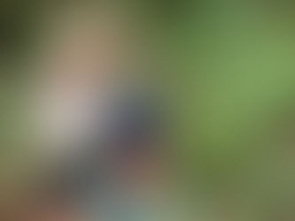 Samaúma Eco experiências: turismo sustentável e feminino na Ilha do Combu