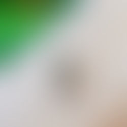 Covid-19 ou Dengue? Especialista aponta principais sintomas e diferenças