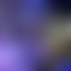 Regiane Reis retorna shows em grande