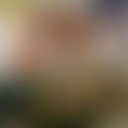 Em sua fase mais expressiva, Vitão lança "TODA MANHÃ: ATO 1"