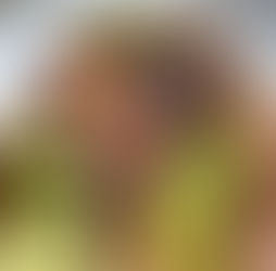 Limão, pitiú e peixe: o que a culinária amazônica nos ensina