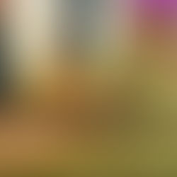 Animação de Rondônia é exibida na Mostra Pan-Amazônica de Cinema do Pará