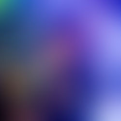 Wellython Vaqueiro realiza segunda edição do evento “A Vaquejada”