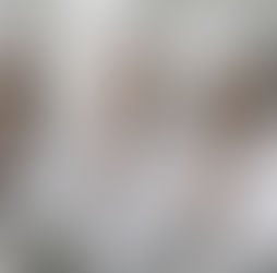 Técnicas x Receitas