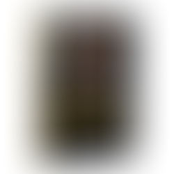 Efeito Sanfona: riscos e causas