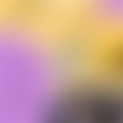 Projeto Run Army promove evento gratuito de Kpop e aborda saúde mental