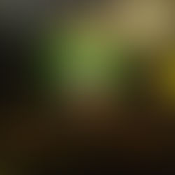 APCREGGAE realiza 2º bingo em Tributo a Bob Marley