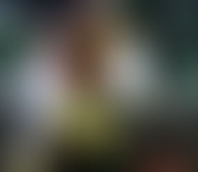 Deusa Magalhães se apresentou no Baile de Máscaras, em Belém