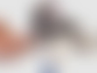 Clima quente exige cuidado redobrado com os pets