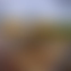 ANTT autoriza alteração da tarifa de pedágio em Trairão (PA)