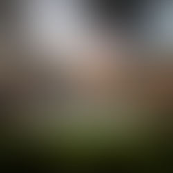 Papão goleia a Tuna e comemora o bicampeonato paraense