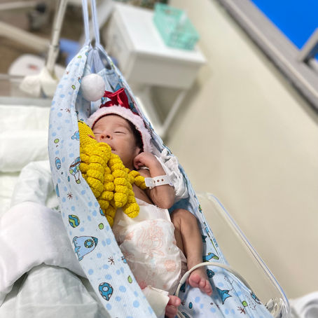 "Bebês-noéis" ganham ensaio fotográfico no Hospital Regional do Sudeste do Pará