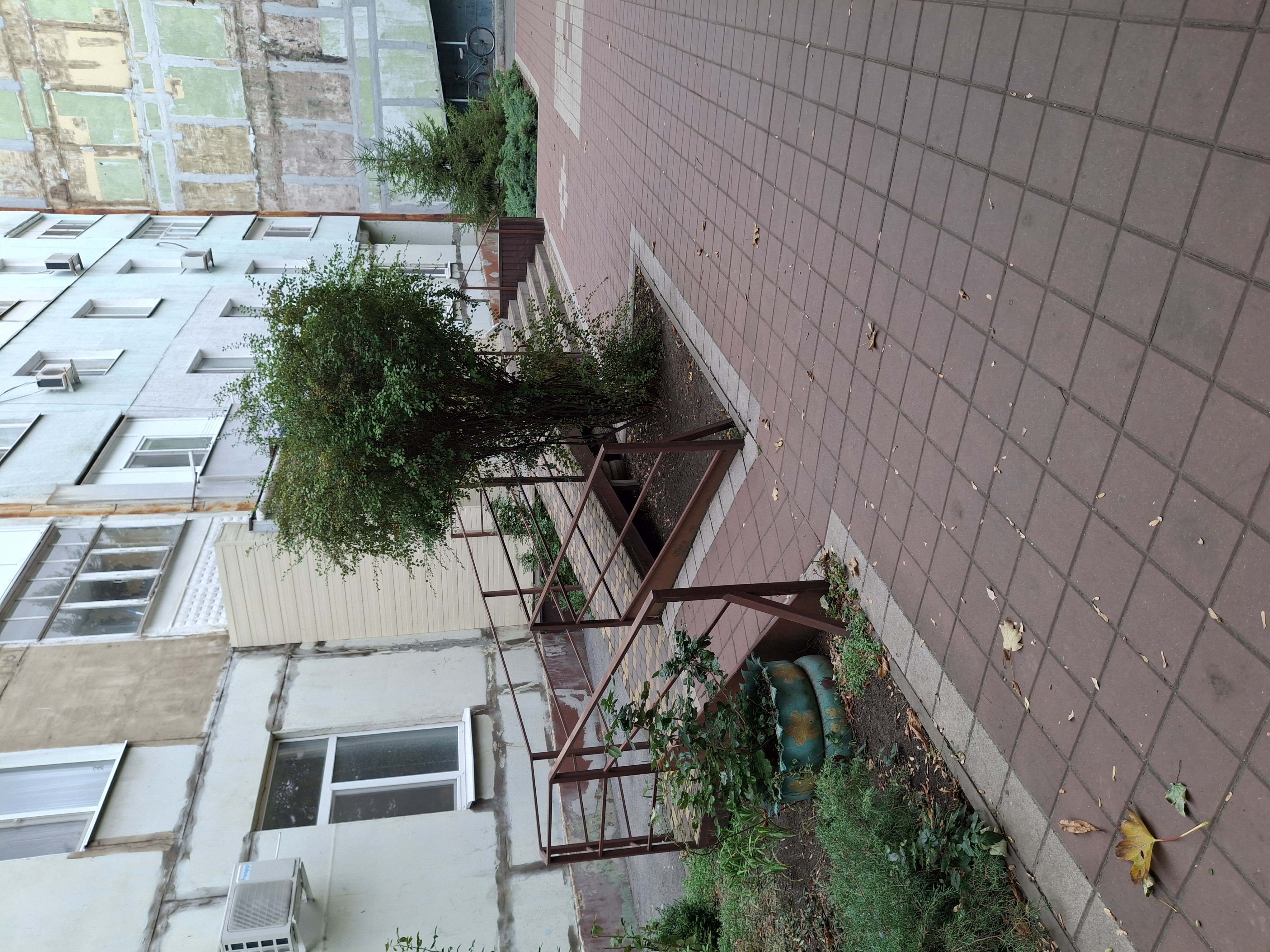 a placeholder image.