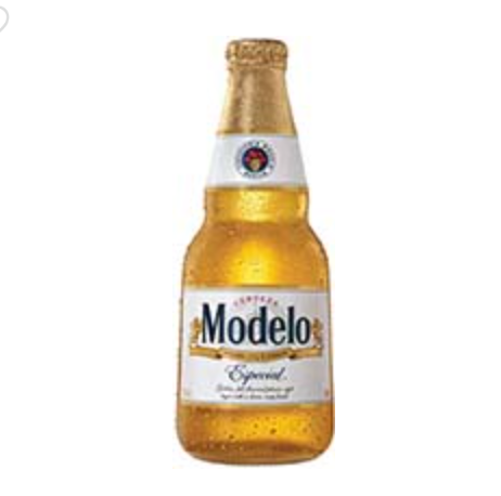 MODELO ESPECIAL
