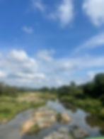Kruger National Park