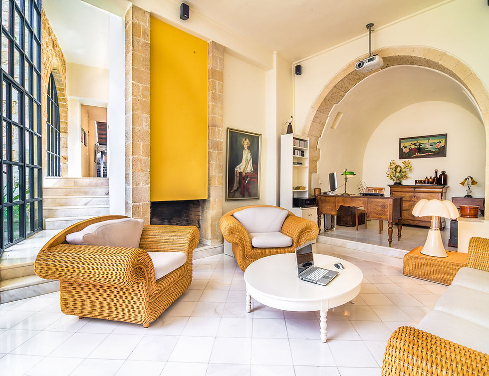 Living room 110m2 open space