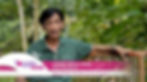 Toggle CheckOUT! Ep1