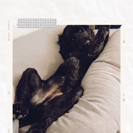 Don’t Tell Me How To Social Distance