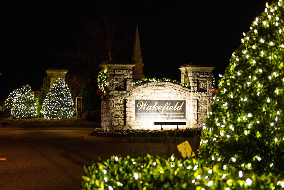virginia-lights-commercial-8.jpg