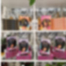 BOOKS & BOTANICALS POP-UP CAFE'