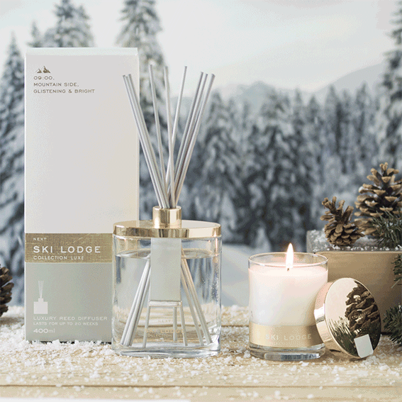 Reed diffusser in the snow