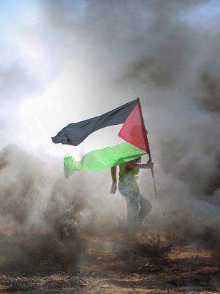Humanitarian crisis in Gaza: context, evolution and current situation.