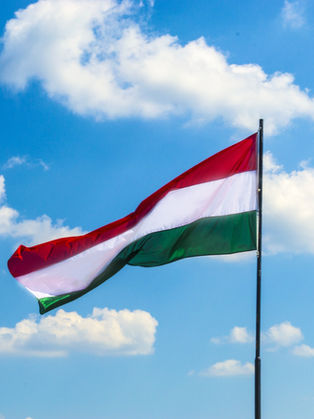 CJEU Condemns Hungary’s Anti-LGBTQ Laws in Landmark Ruling.